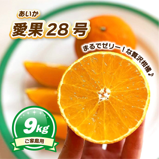 【2026年11月下旬頃から順次発送】ご家庭用 愛果28号 (紅まどんな と同品種) 約9kg  ハウス栽培 | あいか 28号 果物 みかん 柑橘 宮本農園 愛媛県 松山市MN0143】