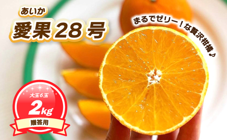 【2026年11月下旬頃から順次発送】 贈答用 愛果28号 (紅まどんな と同品種) 約2kg 大玉6玉入  ハウス栽培| あいか 28号 果物 みかん 柑橘 宮本農園 愛媛県 松山市 【MN0161】