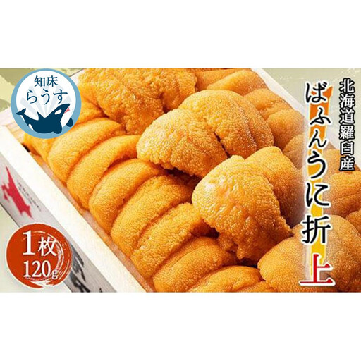 [先行受付][27年1月〜6月内発送]エゾバフンウニ 折ウニ (上) 120×1枚