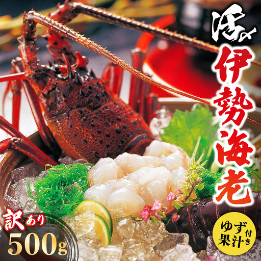 訳あり 活〆伊勢海老 500g(1～3尾)