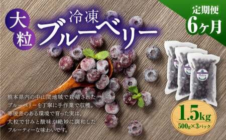 【6か月連続定期便】 熊本県産 大粒 冷凍ブルーベリー 1.5kg（500g×3パック）×6回 合計9kg  フルーツ 果物 くだもの 冷凍 ブルーベリー 国産