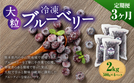【3か月連続定期便】 熊本県産 大粒 冷凍ブルーベリー 2kg（500g×4パック）×3回 合計6kg  フルーツ 果物 くだもの 冷凍 ブルーベリー 国産