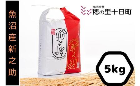 【令和7年産】 魚沼産 新之助 精米 5kg