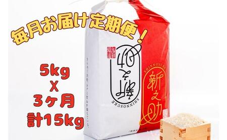 【通年受付】令和7年産魚沼産新之助　精米5kg　全3回 十日町市 十日町 米
