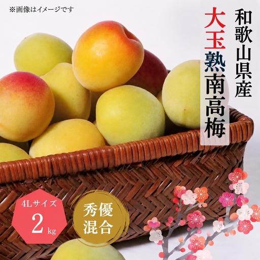 【梅干・梅酒用】 大玉 4Lサイズ 2kg 熟南高梅 秀優混合 / フルーツ 果物 人気 送料無料 和歌山 梅 完熟梅 梅干し 梅酒 ※2027年6月上旬～7月上旬頃順次発送予定 ※沖縄・離島への配送不可 【art023A】