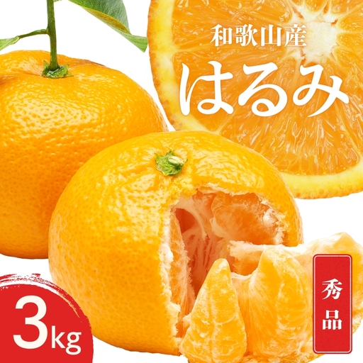 【先行予約】秀品 はるみ 和歌山 有田 S～2Lサイズ 大きさお任せ 3kg【1月下旬～3月下旬までに順次発送予定】/ みかん フルーツ 果物 くだもの 蜜柑 柑橘【ktn046】