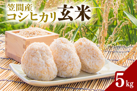 令和7年度 笠間市産 コシヒカリ 5kg 玄米 CU-035