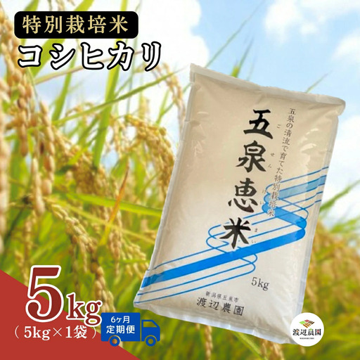 【定期便6回】令和8年産 新米 コシヒカリ 5kg×6回(計30kg) 特別栽培米 先行予約 | 新潟県産 白米 米 五泉市