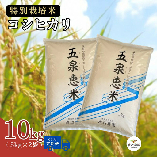【定期便6回】令和8年産 新米 コシヒカリ 10kg(5kg×2袋)×6回 計60kg 特別栽培米 先行予約 | 新潟県産 白米 米 五泉市