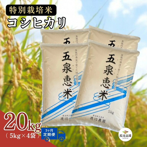 【定期便3回】令和8年産 新米 コシヒカリ 20kg(5kg×4袋)×3回 計60kg 特別栽培米 先行予約 | 新潟県産 白米 米 五泉市