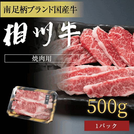 相州牛 焼肉・網焼き用カルビ　500g（厚切り）【 牛肉 お肉 ブランド牛 神奈川県 南足柄市 】