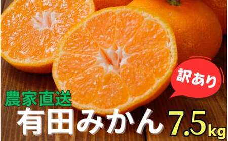 農家直送 有田 みかん 訳あり 7.5kg 光センサー 選別 / 温州みかん 有田みかん 甘い 家庭用 和歌山 柑橘 ※11月中旬～1月中旬に順次発送 ※北海道・沖縄・離島への配送不可 【nuk004-noka-c7d5B】