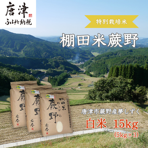 『先行予約』【令和8年産新米】特別栽培棚田米「蕨野」5kg×3袋(合計15kg) 家庭排水が一切入らない自然水で作られたお米 10日に1回精米で新米のような味わい