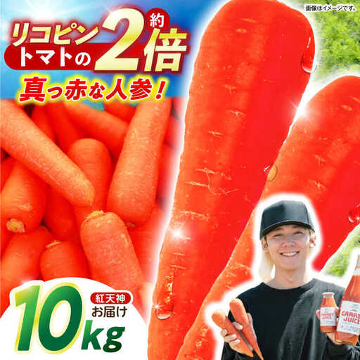 ※[2027年1月上旬より順次発送/先行予約]真っ赤なにんじん「紅天神」10kg AHCU002 にんじん