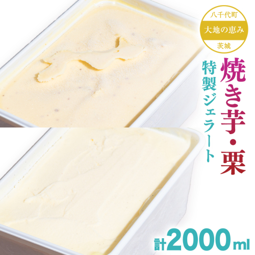 茨城県産 大地の恵み 特製 ジェラート 焼き芋 栗 各2000ml