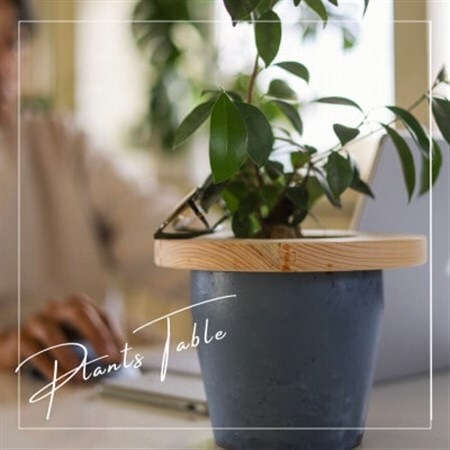 長野県の職人が作成する観葉植物用のテーブル スモールサイズ(20cm)_雑貨・日用品  家具・インテリア _【1549392】
