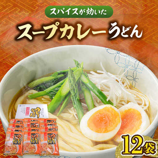 スープカレーうどん 12食入[VAI070]カレーうどん