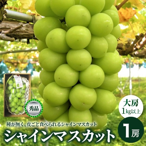 ぶどう（シャインマスカット）大房１房（１ｋｇ以上）　0025-2609