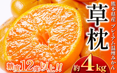 温州みかん「草枕」約4kg