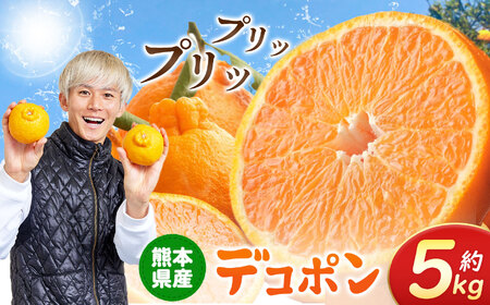 デコポン 約5kg