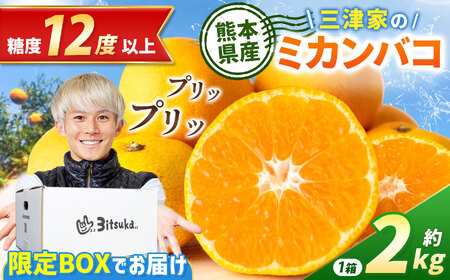 温州みかん 2kg｜三津家貴也×JAたまなコラボスペシャルグッズ