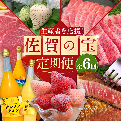 [2027年発送分 先行予約][全6回定期便]生産者応援 いちご・みかんジュース・佐賀牛 佐賀の宝 定期便 / ジュース いちご 苺 牛肉 / 佐賀県ふるさと納税 