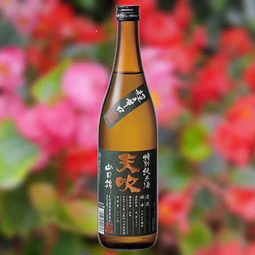天吹 超辛口 特別純米 生・火入れ 飲み比べ 各720ml×1本 / 佐賀県 / 天吹酒造合資会社 