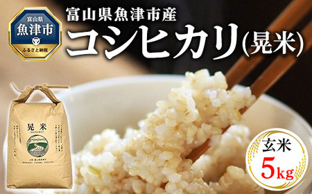 【令和8年度米】【農家直送】環境配慮「魚津のコシヒカリ（晃米）」5kg（玄米） ｜新米 MK農産 玄米 銘柄米 ブランド米 ご飯 おにぎり お弁当 和食 主食 国産 産地直送 甘み 香り もちもち ※2026年10月～発送
