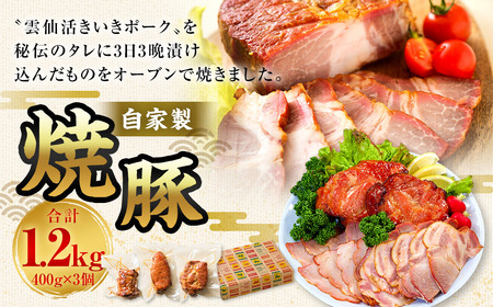 自家製焼豚 400g×3個セット / 国産 豚 豚肉 加工肉 タレ 雲仙活きいきポーク