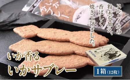 いかサブレー12枚