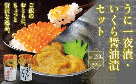うに一夜漬 60g・いくら醤油漬 60gのセット