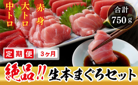 【定期便3回】冷蔵でお届け！人気の生本マグロ堪能セット（柵どり） 計750g × 3回お届け （毎月お届け）