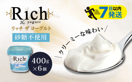 [砂糖不使用] 共進牧場 リッチザヨーグルト 400g×6個 |ヨーグルト