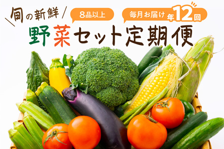 【定期便】旬の新鮮野菜セットたっぷり8種以上 12か月【8057-1】
