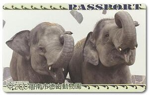 周南市徳山動物園年間パスポート（4枚）