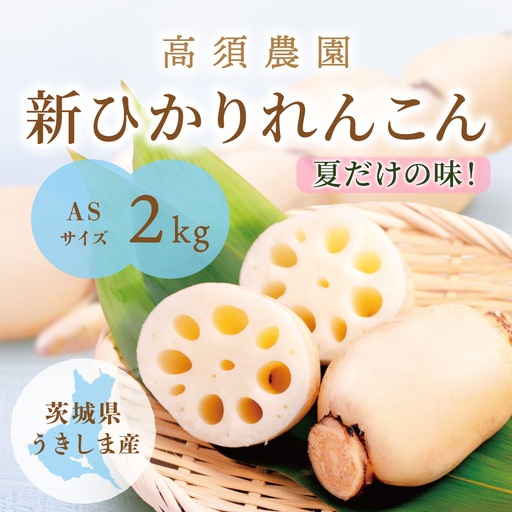 夏だけの味!「新ひかりれんこん」2kg (ASサイズ) 専用箱入 [1743]