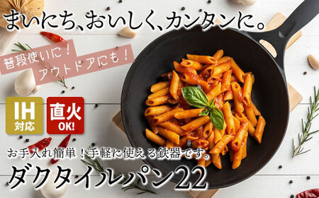 フライパン IH対応 ダクタイルパン 22cm | フライパン