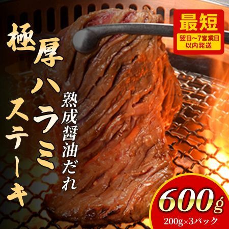 プレミアム極厚ハラミステーキ【熟成醤油だれ】600g ハラミ (K2-026)  D0502