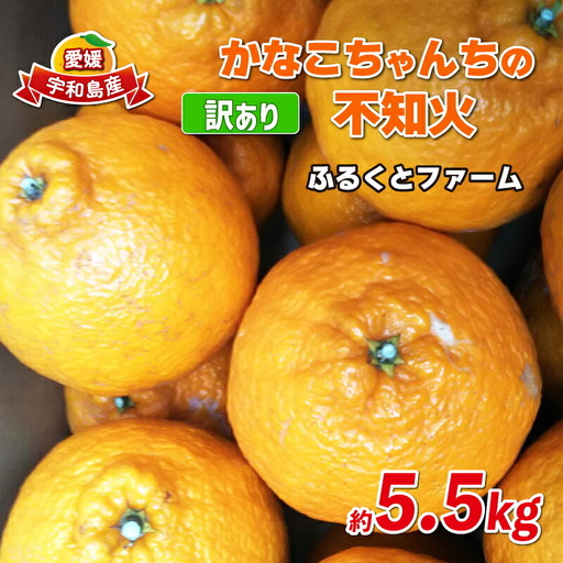 訳あり 不知火 約5.5kg ふるくとファーム デコポン ( デコポン と同品種)