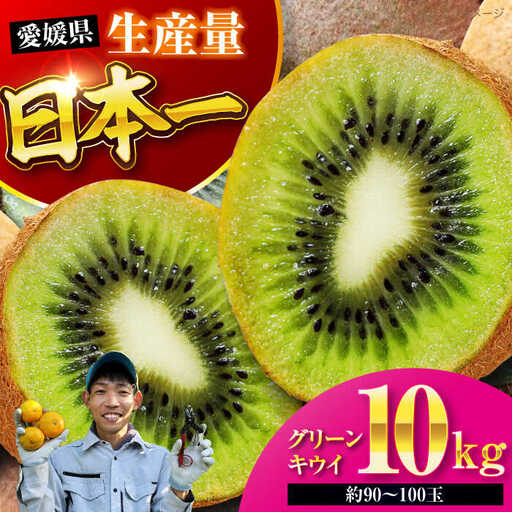 フルーツ 詰め合わせ(みかん・キウイ 各10kg)[2026年11月中旬から順次配送]フルーツ [AGBC008]