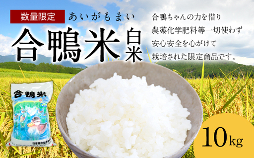 〈令和7年産〉合鴨米 白米 10kg【2025年10月上旬～2026年10月上旬発送予定】