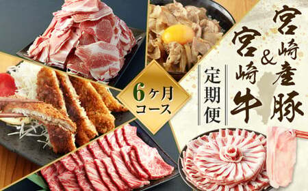 [ミヤチク 宮崎県豚・宮崎牛6ヶ月定期便]お申込みの翌月下旬頃に第一回目発送(12月は中旬頃)[c1313_mc_x2] 総量13.2kg 牛肉 和牛 黒毛和牛 4等級以上 ブランド牛 肉 宮崎牛 豚肉 国産 小分け セット 定期便 6回 新生活応援 卒業祝い 就職祝い 入学 卒業 お花見 引越し