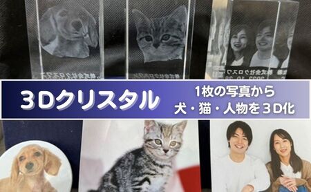 3Dクリスタル 置物 写真から制作 ペット 3Dクリスタル