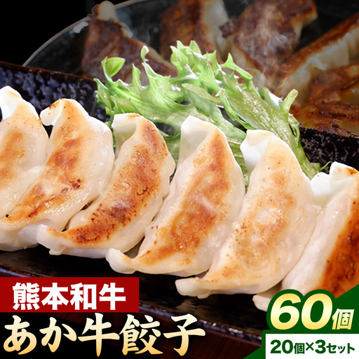 熊本和牛 あか牛 餃子 60個 