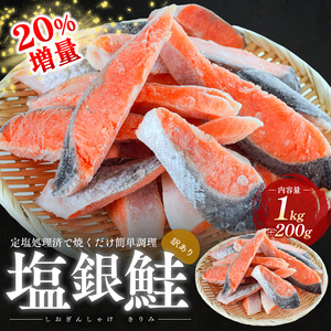 塩銀鮭 訳あり 20％増量 切り身 1.2kg 規格外 塩銀鮭