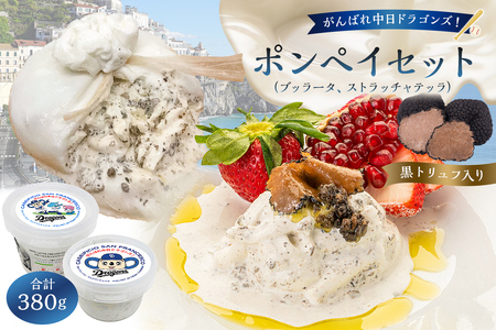 がんばれ中日ドラゴンズ!ポンペイセット[中日ドラゴンズコラボ] チｰズ 乳製品 ブッラｰタ ストラッチャテッラ 黒トリュフ イタリアンチｰズ フレッシュチｰズ ドラゴンズ コラボ [0073-082]