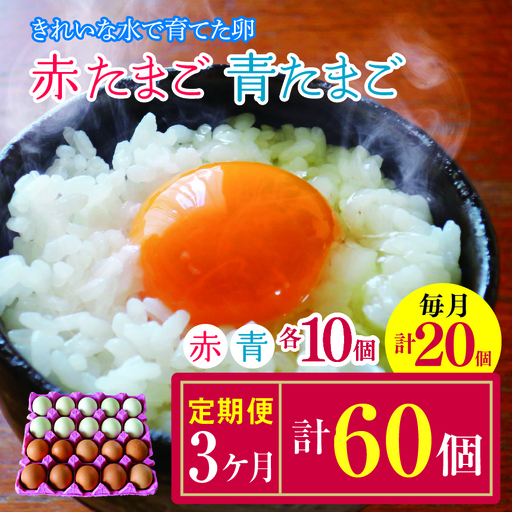【3回定期便】きれいな水で育てた卵 赤たまご （ アローカナ ）ミックス 各10個 計20個  | 保坂農場