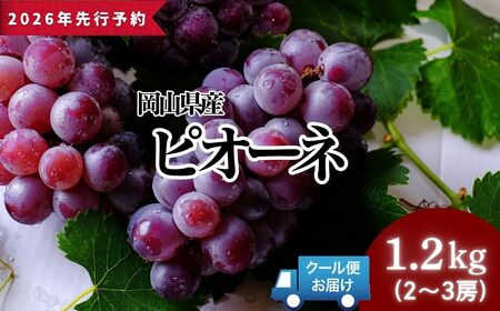 [2026年発送分 先行予約]ピオーネ 1.2kg以上(2?3房)025-a022