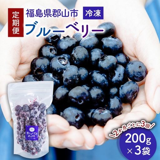 【定期便】冷凍ブルーベリー600gを2か月ごと3回 果物詰合せ フルーツ 