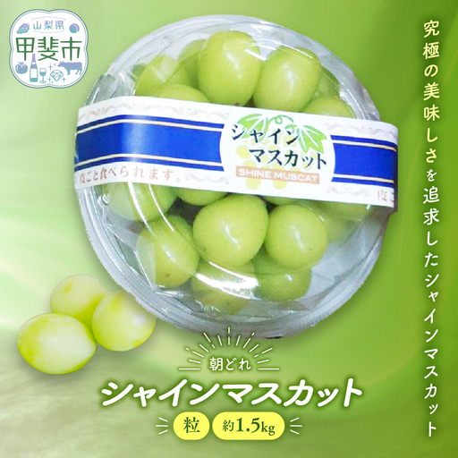 訳あり シャインマスカット 粒 1.5kg 山梨シャインマスカット